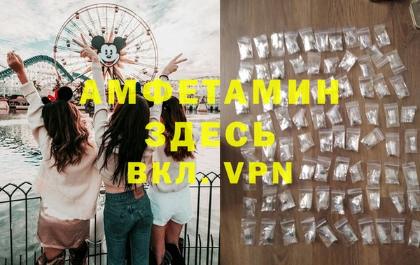 мдпв Няндома